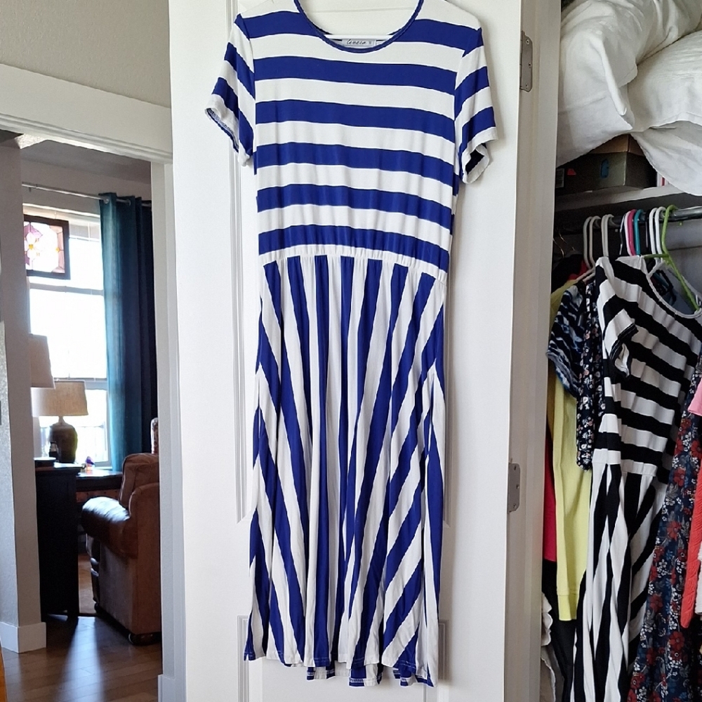 Blue and White Fit and Flare Midi Dress